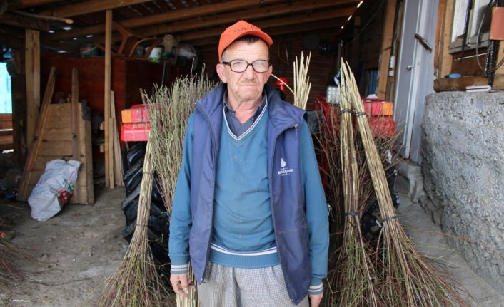 Ormandan toplanan çalılar 