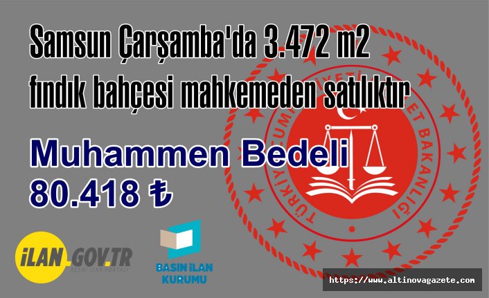 Samsun Çarşamba'da 3.472 m2 fındık bahçesi mahkemeden satılıktır​​​​​​​
