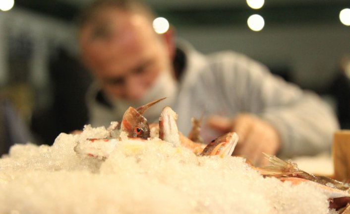 Samsun'da balık halinde yasak öncesi son mezatta hamsi yoğun ilgi gördü