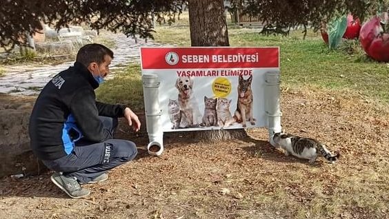 Seben'de sokak hayvanları için sokaklara yem aparatı yerleştirildi