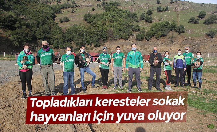 Topladıkları keresteler sokak hayvanları için yuva oluyor