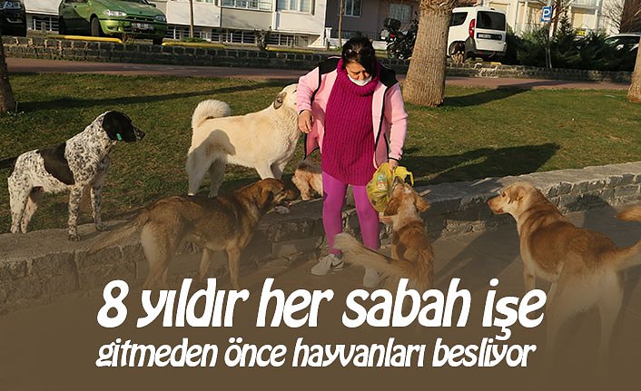 8 yıldır her sabah işe gitmeden önce hayvanları besliyor