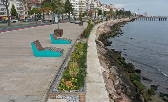 Altınordu'da sahilde yeşillendirme çalışması yapıldı