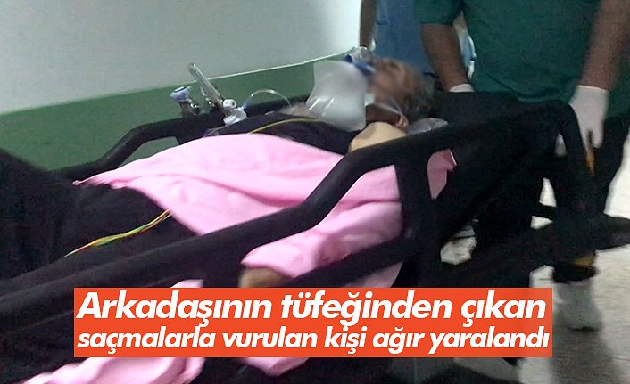 Arkadaşının tüfeğinden çıkan saçmalarla vurulan kişi ağır yaralandı