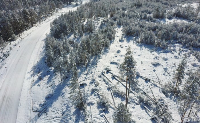 Bolu'da ormanlık alanlarda hasar tespit çalışması yapıldı