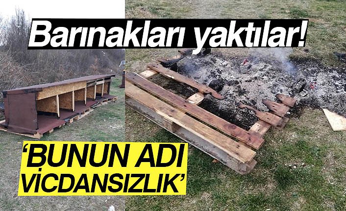 ‘BUNUN ADI VİCDANSIZLIK’