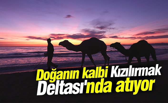 Doğanın kalbi Kızılırmak Deltası'nda atıyor