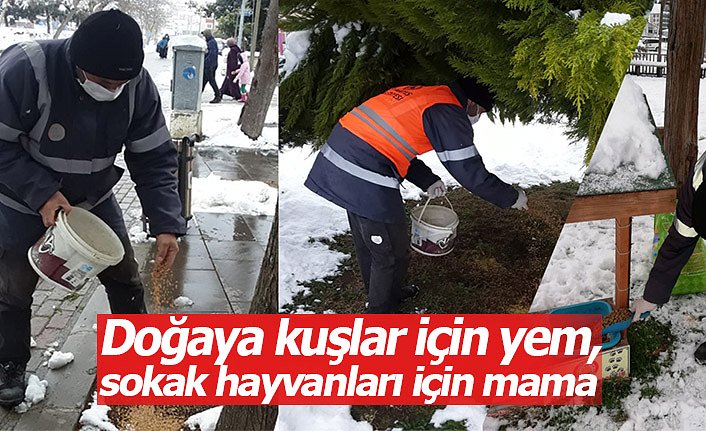 Doğaya kuşlar için yem, sokak hayvanları için mama