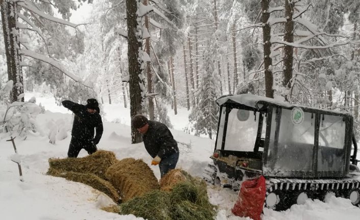 Düzce'de yaban hayvanları için doğaya yem bırakıldı