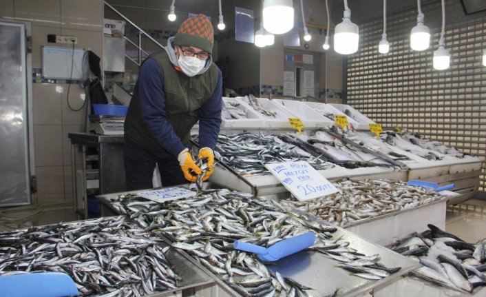 Kısmi av yasağı nedeniyle azalan hamsi diğer balık türlerinin fiyatlarını da yükseltti