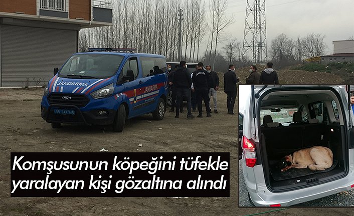 Komşusunun köpeğini tüfekle yaralayan kişi gözaltına alındı