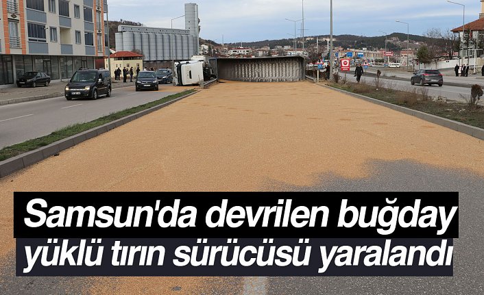Samsun'da devrilen buğday yüklü tırın sürücüsü yaralandı