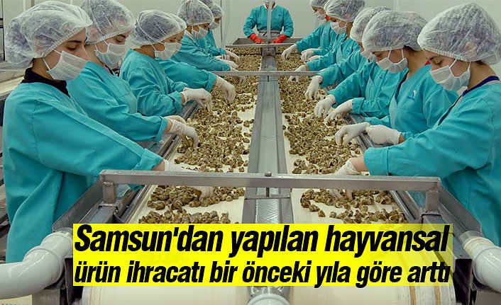 Samsun'dan yapılan hayvansal ürün ihracatı bir önceki yıla göre arttı