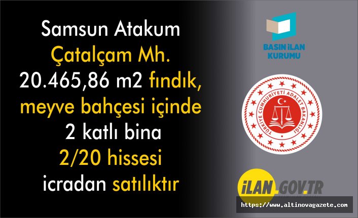 SAMSUN İCRA DAİRESİ