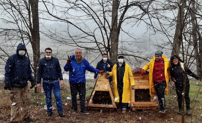 Samsun'da ekolojik yaşam gönüllüleri sokak hayvanları için kulübe yaptı