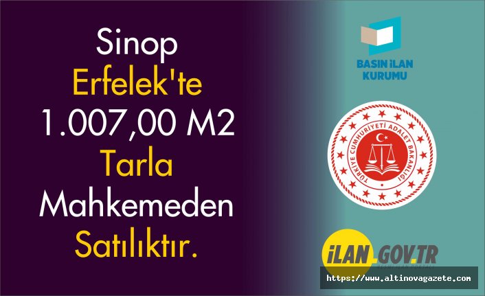 Sinop Erfelek'te 1.007,00 m2 tarla mahkemeden satılıktır.