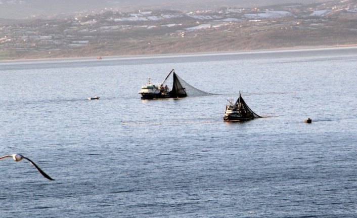 Sinop'ta ağlar istavrit ve mezgit için denize bırakılıyor