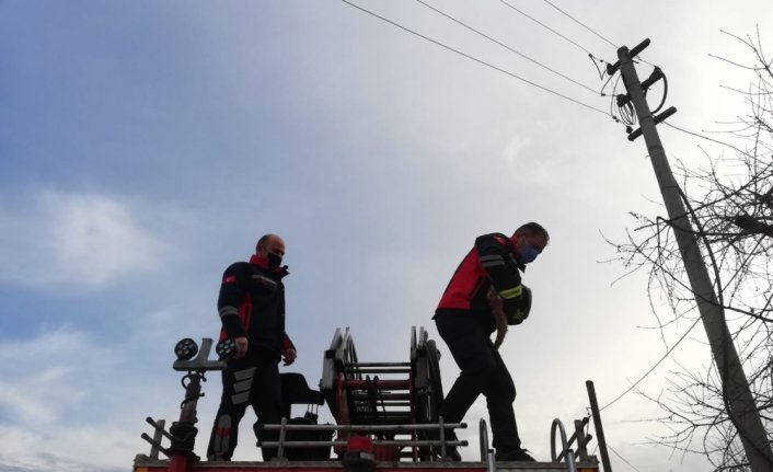 Tokat'ta telefon direğinde mahsur kalan kediyi itfaiye ekipleri kurtardı