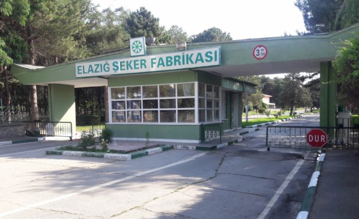 Türkşeker Susurluk ve Elazığ fabrikaları şeker üretiminde zirveyi gördü