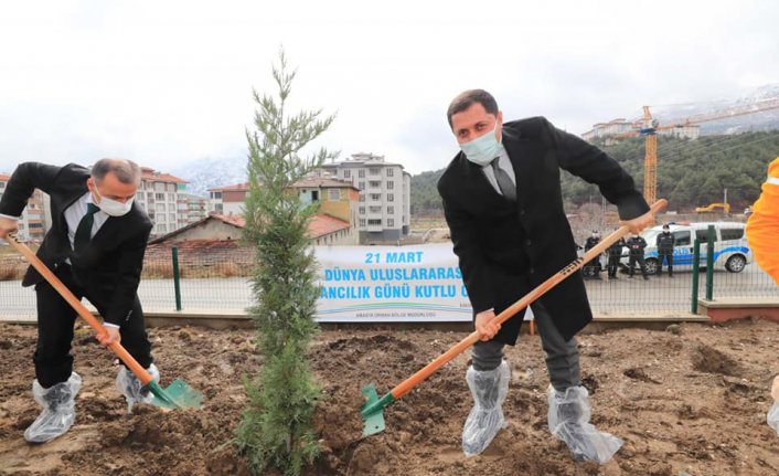 Amasya'da Orman Haftası nedeniyle fidanlar toprakla buluştu