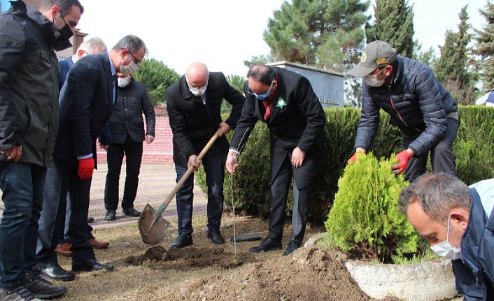 Bafra’da 21 Mart Dünya Ormancılık Günü ve Orman Haftası nedeniyle 100 fidan dikildi