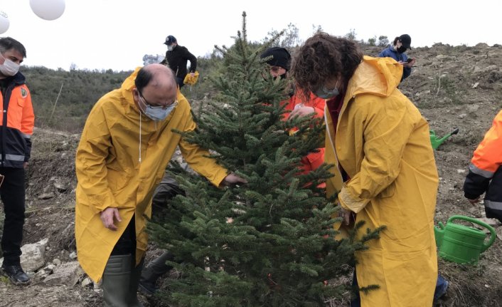 Bartın'da sağlık çalışanları adına 800 fidan dikildi