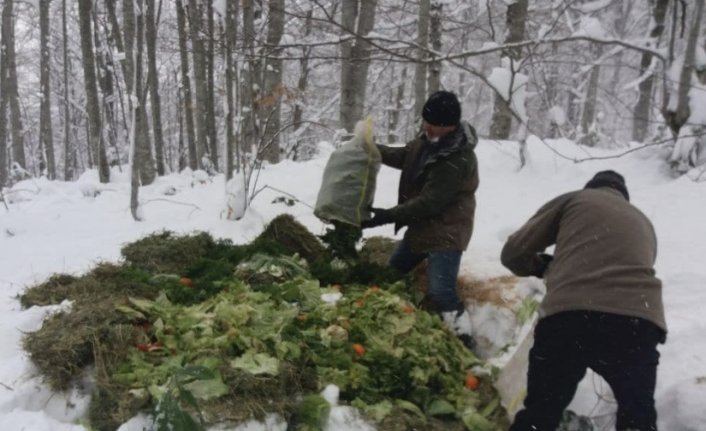 Düzce'de yabani hayvanlara 10 ton yem bırakıldı