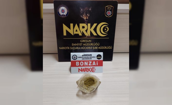 Giresun'da uyuşturucu operasyonunda bir kişi tutuklandı