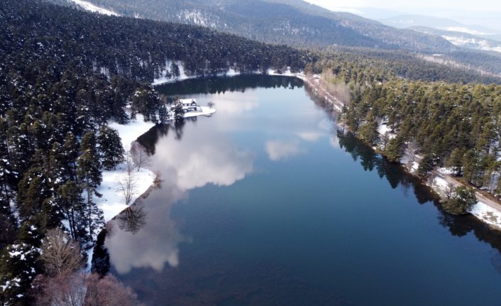 Gölcük Tabiat Parkı'nda açan çiçekler güzel görüntüler oluşturdu