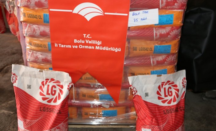 Göynük'te yağlık ayçiçeği tohumu dağıtıldı