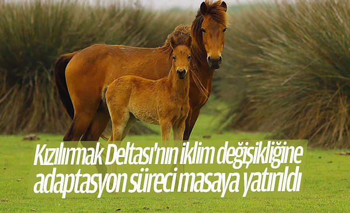 Kızılırmak Deltası'nın iklim değişikliğine adaptasyon süreci masaya yatırıldı
