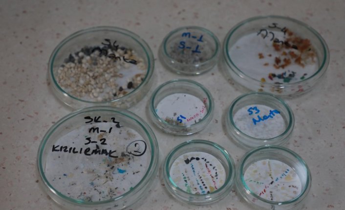 Marmara'da 12, Karadeniz'de 7 balık türünde mikroplastik tüketimi tespit edildi