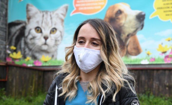 Samsun'da meme tümörü olan sokak köpeği ameliyatla sağlığına kavuşturuldu