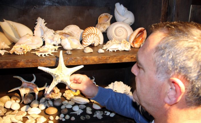 Sinoplu koleksiyoncu tarihi amforaları evinin çatı katında sergiliyor