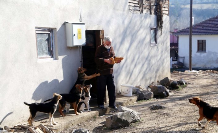 Sokak köpeklerine sıcak yuva sunmak için köyden ayrılmadı