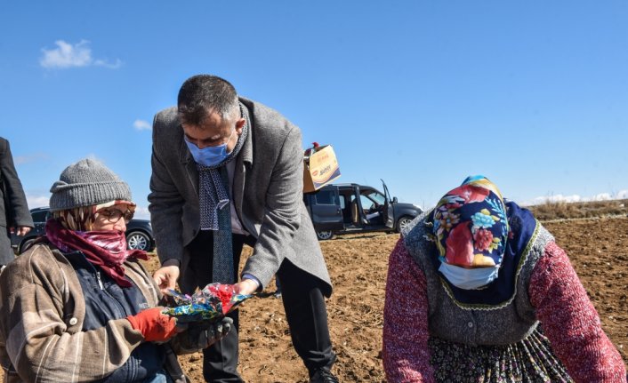 Taşköprü Belediye Başkanı Çatal, tarlada çalışan kadınlara pasta ikram etti