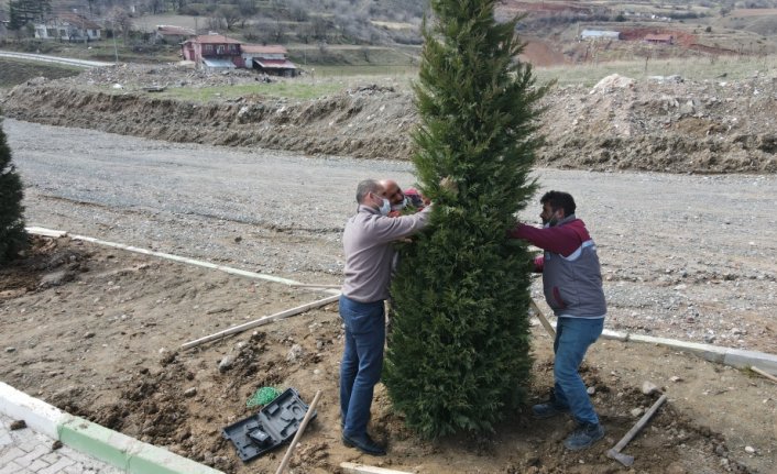 Tokat Belediyesi şehitlikte ağaçlandırma ve bakım çalışmaları yapıyor