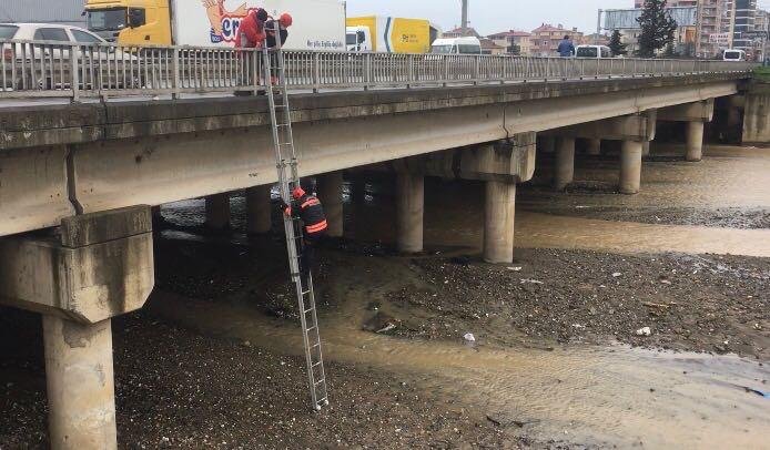 Trabzon'da derede mahsur kalan köpeği itfaiye kurtardı