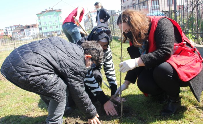 Ünye'de özel eğitim öğrencileri fidan dikti