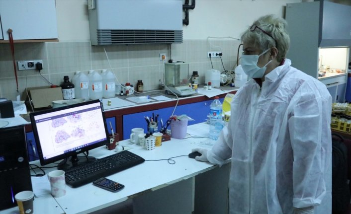 Zonguldak BEÜ'de Kovid-19'un vücutta çoğalmasını engelleyen etken madde geliştirildi