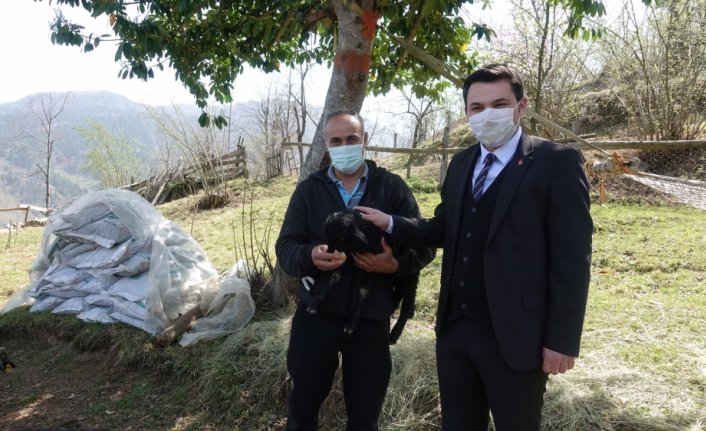 Artvin'de eski hükümlü devlet desteğiyle sürü sahibi oldu