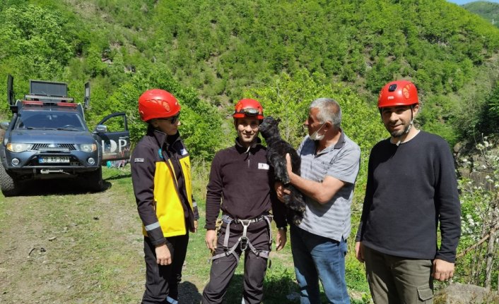 Artvin'de kayalıklarda mahsur kalan oğlak kurtarıldı