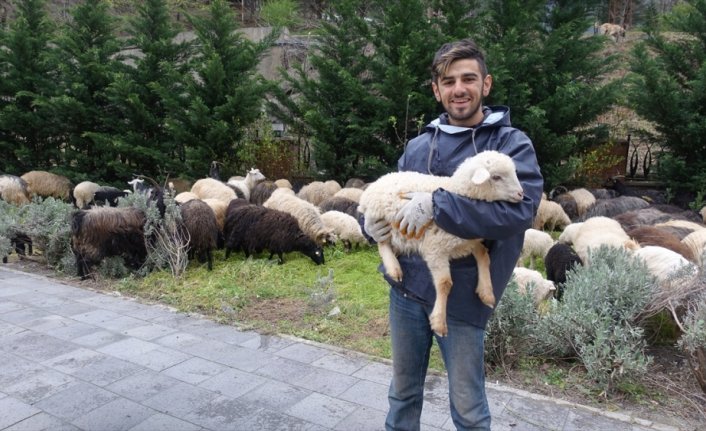 Artvin'de yaklaşık iki ay sürecek yayla göçleri başladı