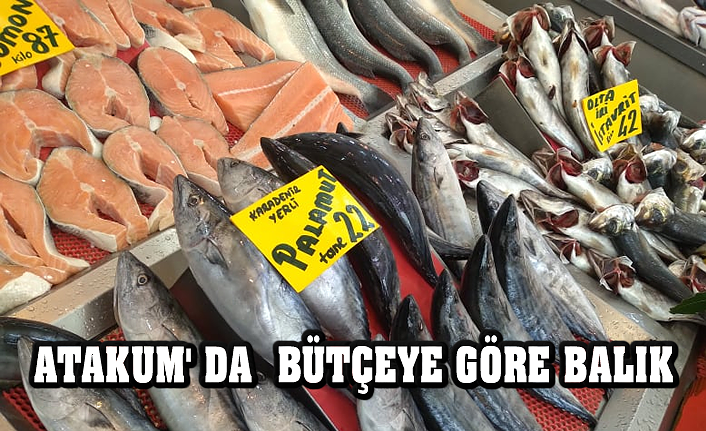 ATAKUM' DA  BÜTÇEYE GÖRE BALIK