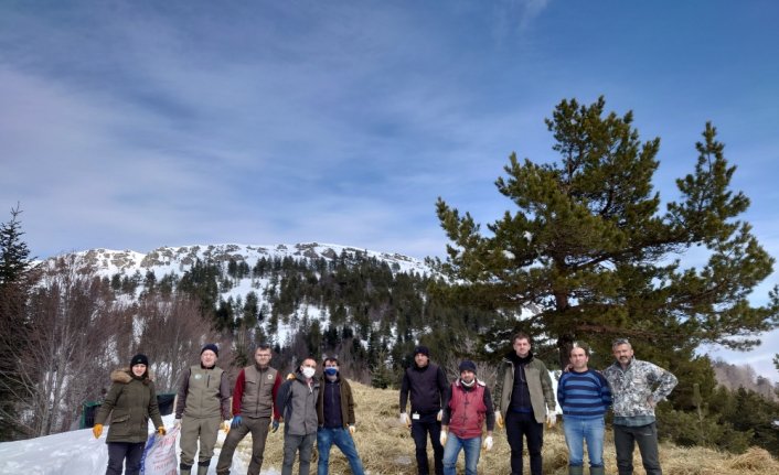 Bolu'da kışın yaban hayvanları için doğaya 35 ton 600 kilogram yem bırakıldı