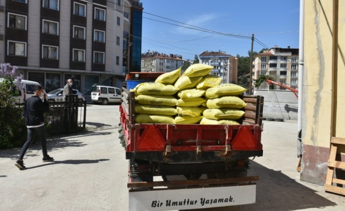 Boyabat ilçesinde çiftçilere 30 ton çeltik tohumu dağıtıldı
