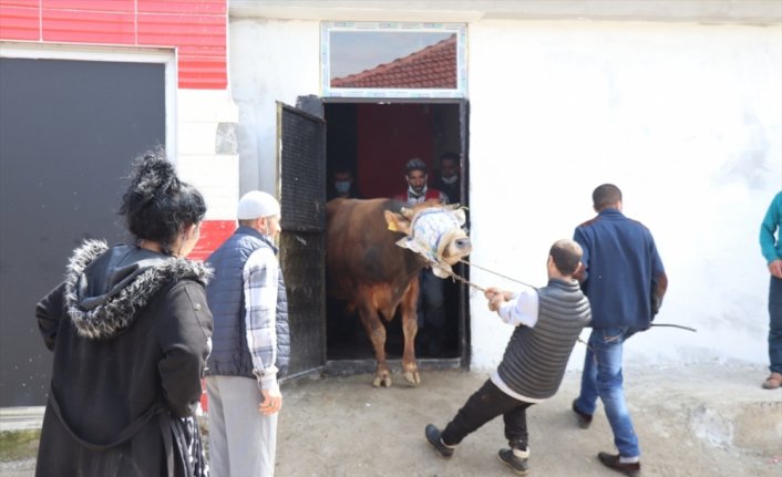 Düzce'de kaçak et kesimi yapılan 2 ruhsatsız iş yeri mühürlendi
