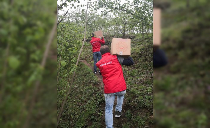 Espiye Kaymakamlığından ihtiyaç sahibi ailelere gıda paketi yardımı