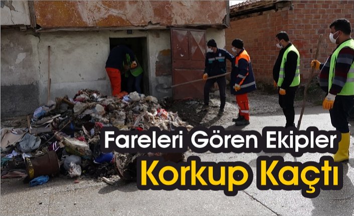 Evden 4 kamyon çöp çıktı