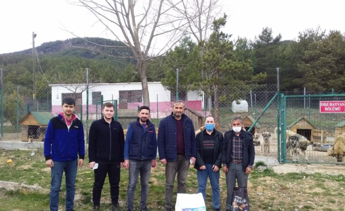 Gerede'den kısa kısa